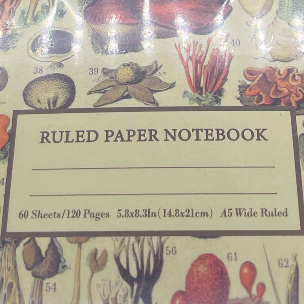 Mushroom Illustrated Ruled Paper Notebook - Picture 3 of 4